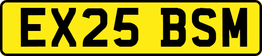 EX25BSM