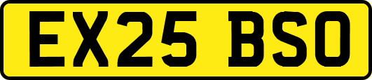 EX25BSO