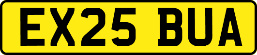 EX25BUA