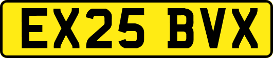 EX25BVX