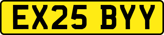 EX25BYY