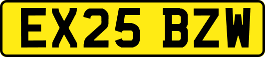 EX25BZW
