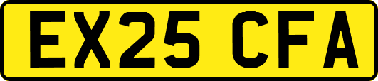 EX25CFA