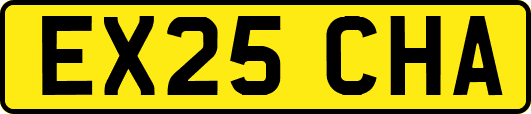 EX25CHA