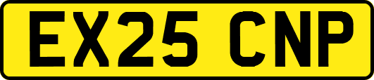 EX25CNP
