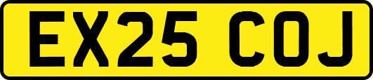EX25COJ