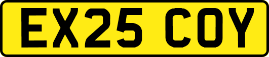 EX25COY