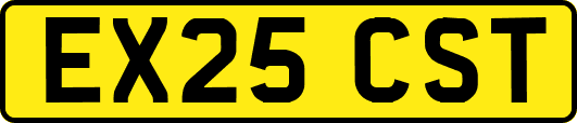 EX25CST