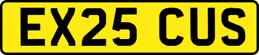EX25CUS