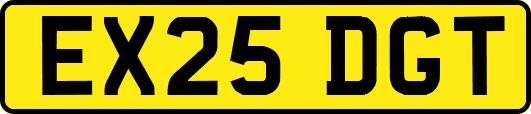 EX25DGT