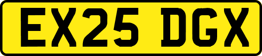 EX25DGX