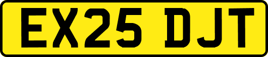 EX25DJT