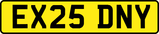 EX25DNY