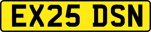 EX25DSN