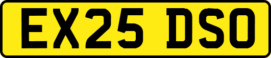EX25DSO