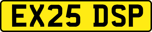 EX25DSP