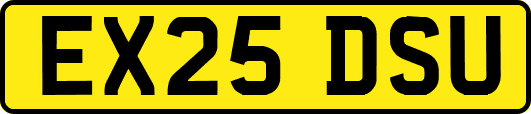 EX25DSU
