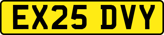 EX25DVY