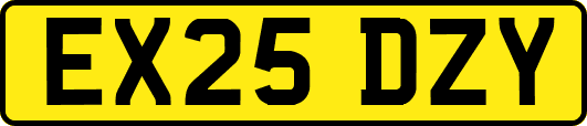 EX25DZY