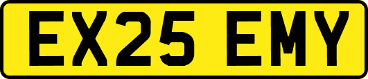 EX25EMY