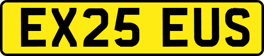 EX25EUS