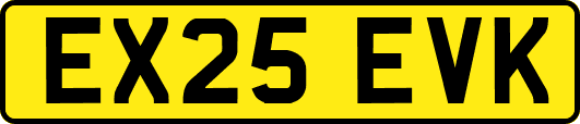 EX25EVK
