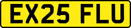 EX25FLU