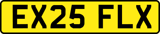 EX25FLX