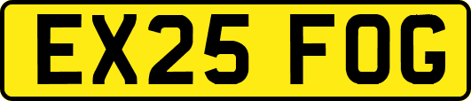 EX25FOG