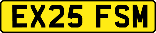 EX25FSM