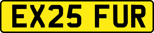 EX25FUR