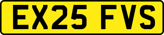EX25FVS