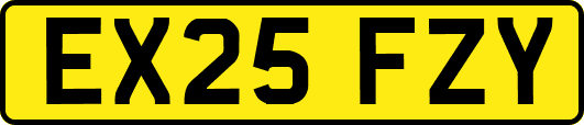 EX25FZY