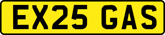 EX25GAS
