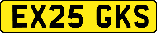 EX25GKS