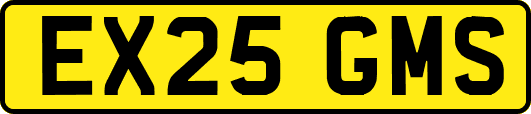 EX25GMS
