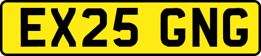 EX25GNG