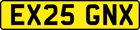 EX25GNX