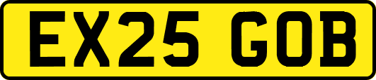 EX25GOB