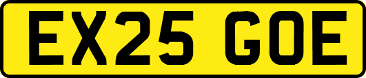 EX25GOE