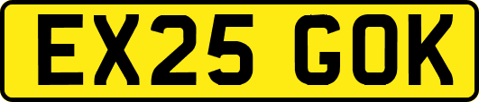 EX25GOK