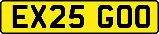 EX25GOO