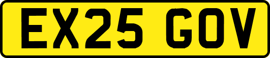 EX25GOV
