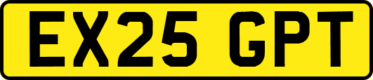 EX25GPT
