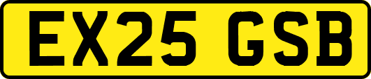 EX25GSB