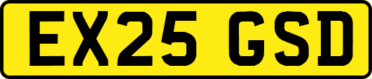 EX25GSD