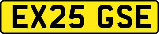 EX25GSE