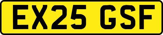 EX25GSF