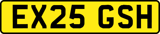 EX25GSH