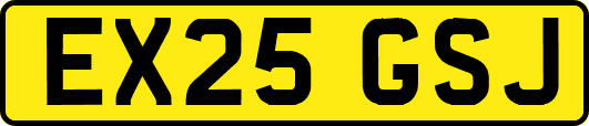 EX25GSJ